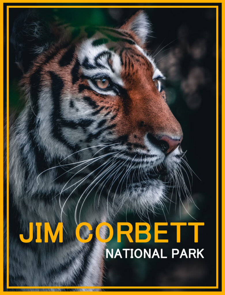 Jim Corbett Tour Package