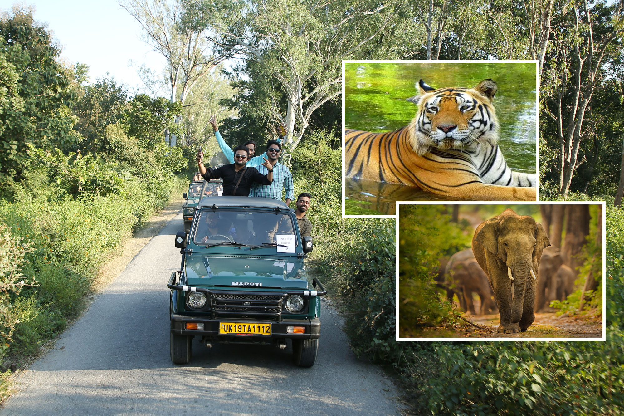 Corbett Jeep Safari